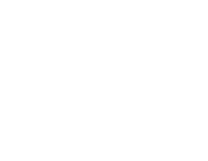 wordpress development